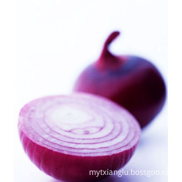 2019 New crop onion for export Chinese Fresh Red Onions wholesale